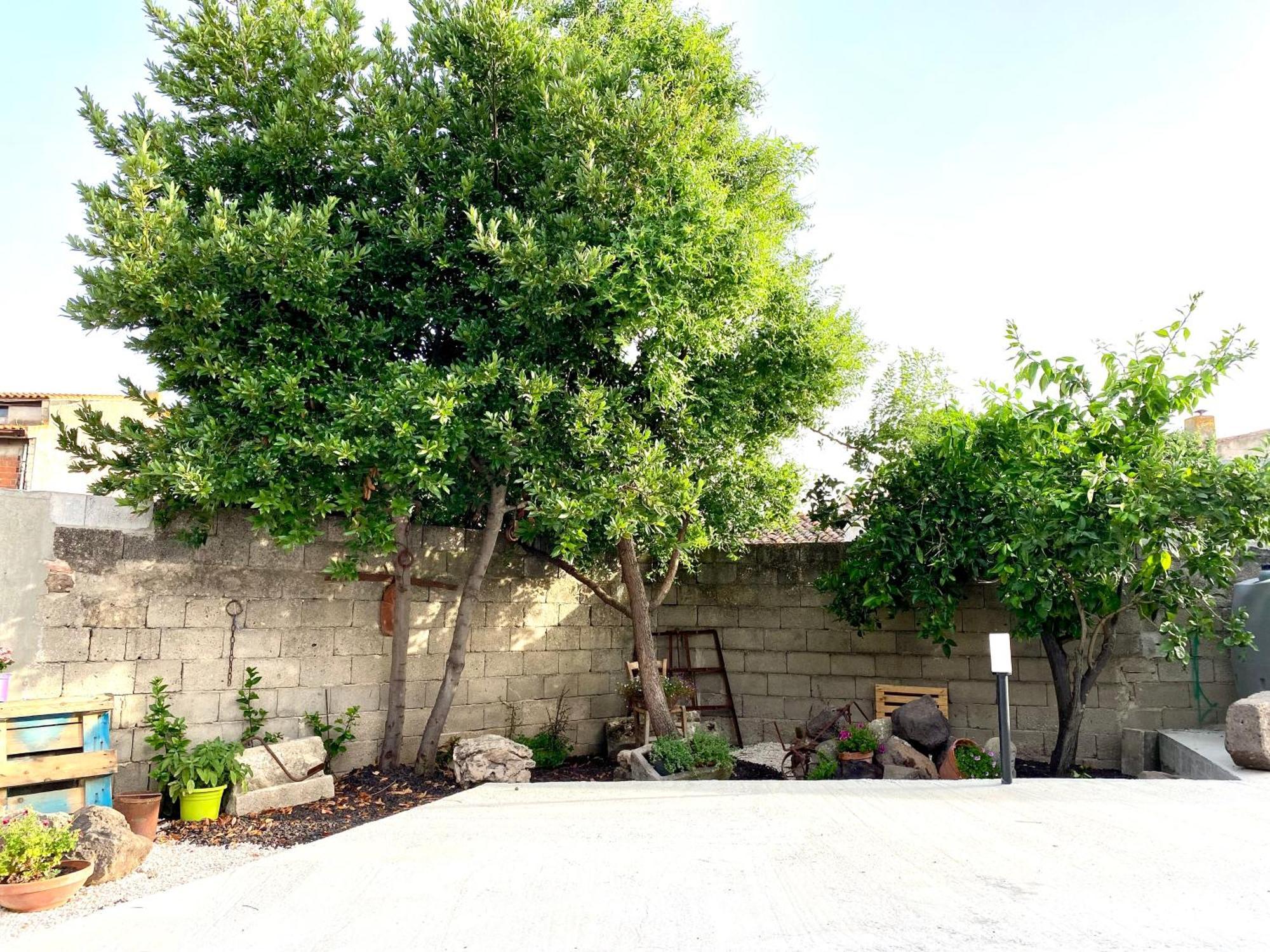 Appartement Casa Meli à San Vero Milis Extérieur photo